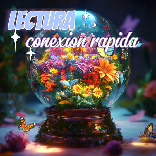 Lectura : Conexión Rapida 15 minutos